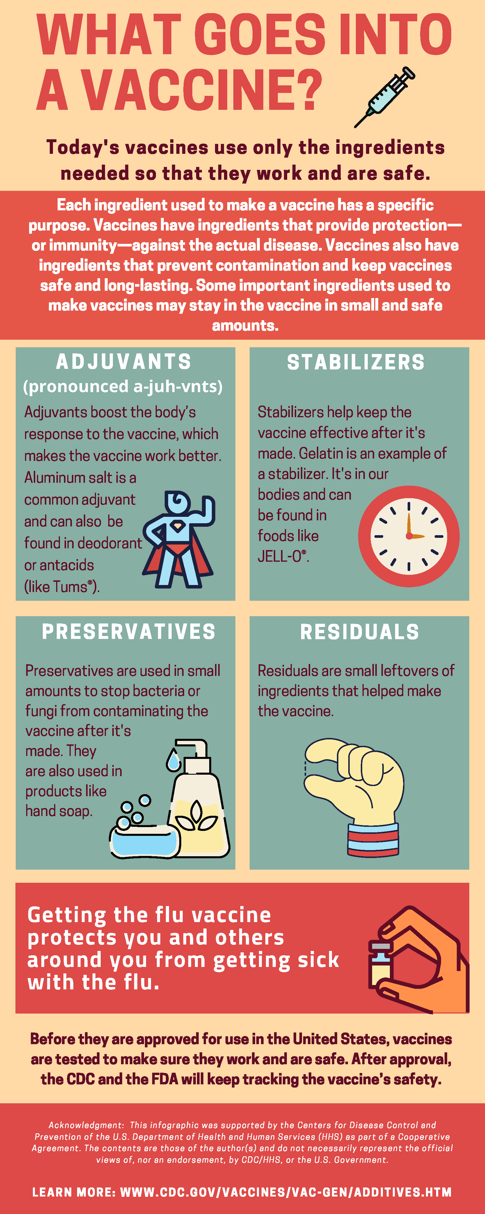 Infographic What Goes Into A Vaccine Association Of Immunization 